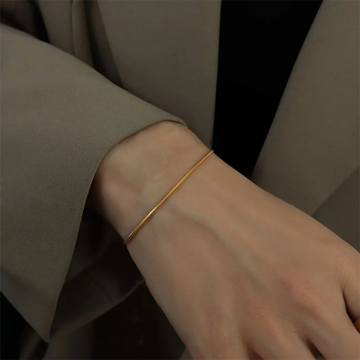 Stainless Steel Snake Chain Bracelet - Fashion Jewelry for Men and Women, Link Bracelet, Ladies' Birthday Gift