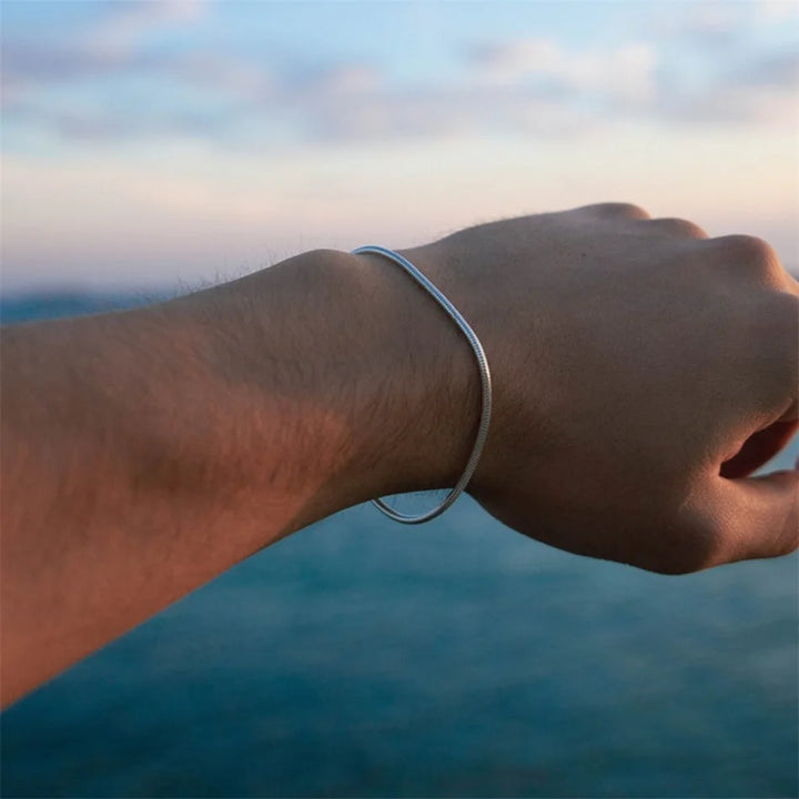 Stainless Steel Snake Chain Bracelet - Fashion Jewelry for Men and Women, Link Bracelet, Ladies' Birthday Gift